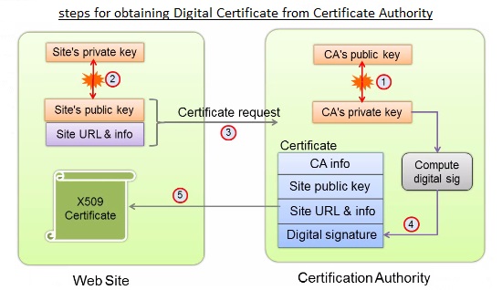apache ssl cert obtain