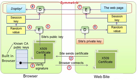 apache ssl cert work