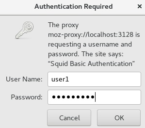 squid firefoxAuthBox